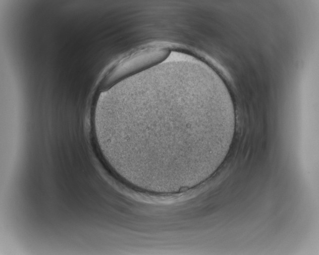 X0000115070015200911241131