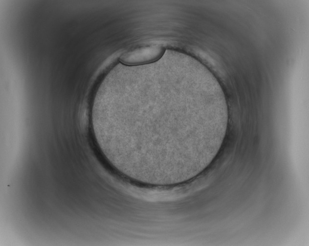 X0000115070016200911241131