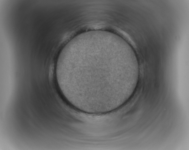 X0000115070018200911241131