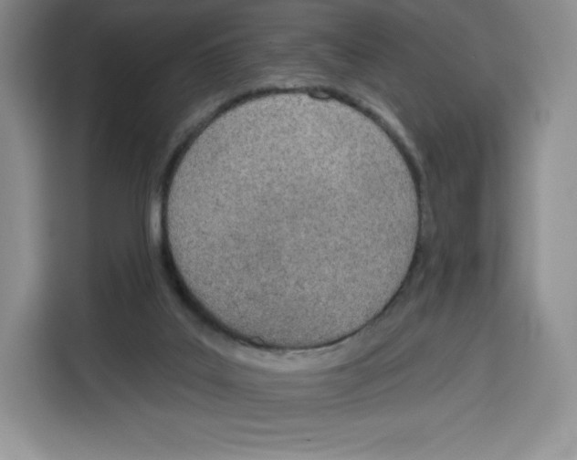 X0000115070019200911241131
