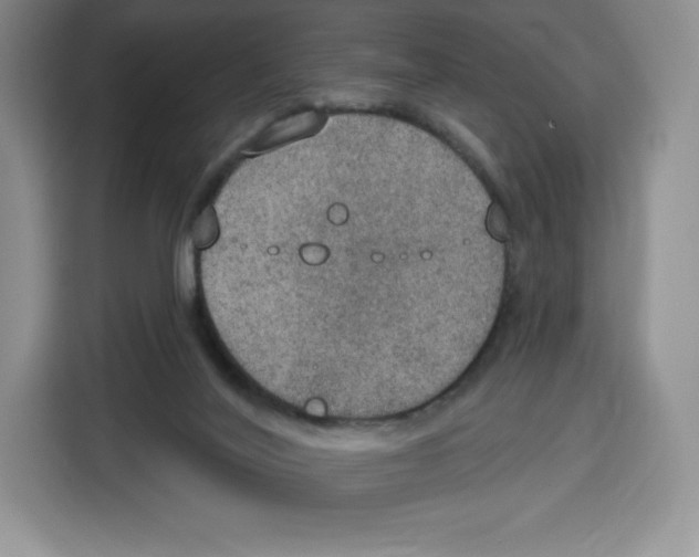 X0000115070020200911241131