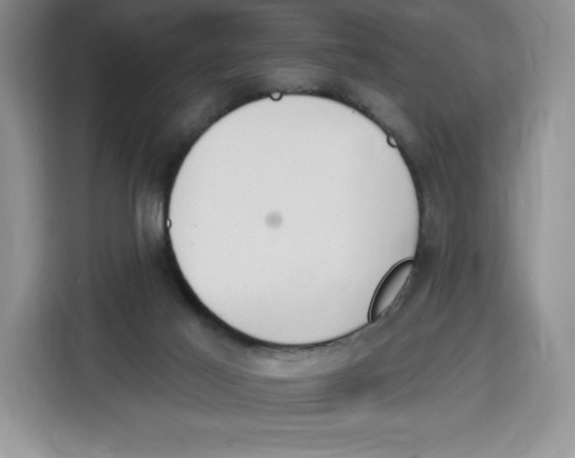 X0000115070021200911241131