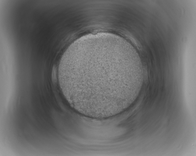 X0000115070022200911241131