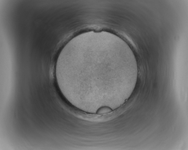 X0000115070023200911241131