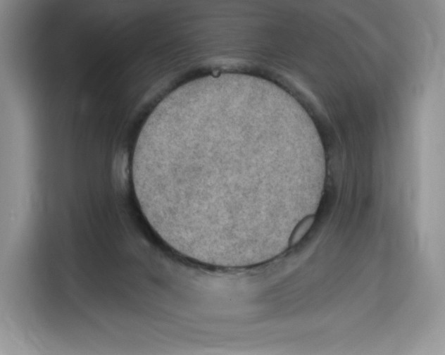 X0000115070024200911241131