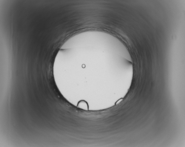X0000115070029200911241131