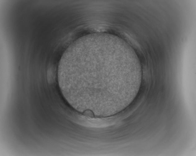 X0000115070030200911241131