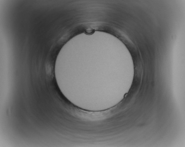 X0000115070031200911241131