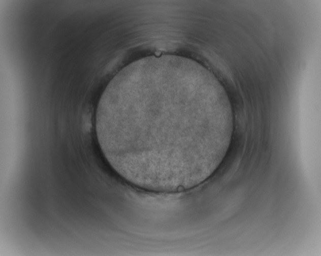 X0000115070032200911241131