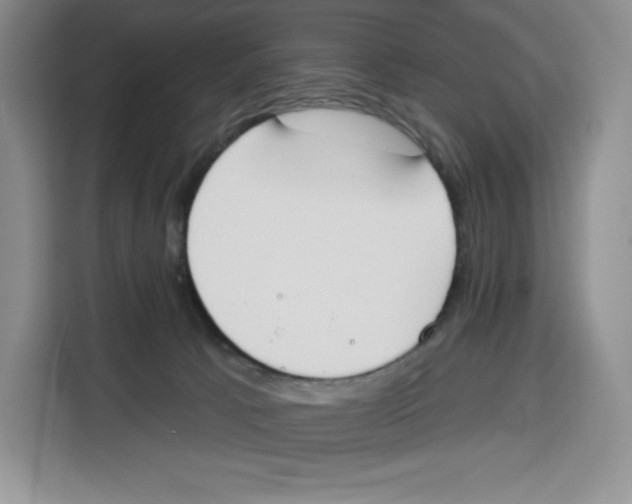 X0000115070033200911241131