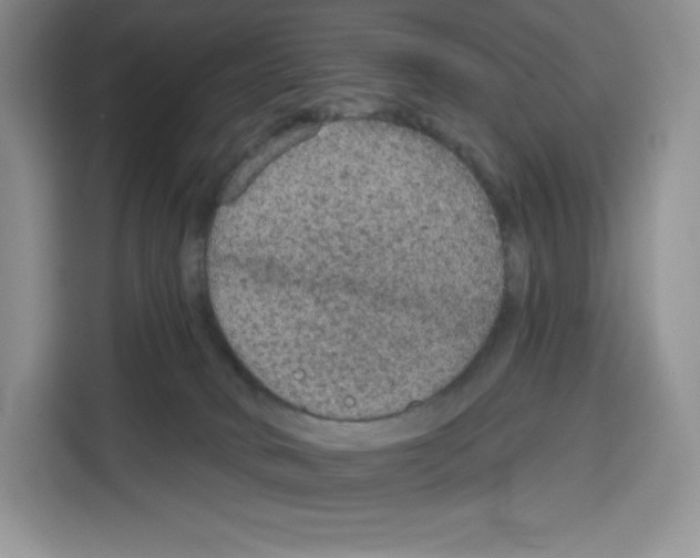 X0000115070034200911241131