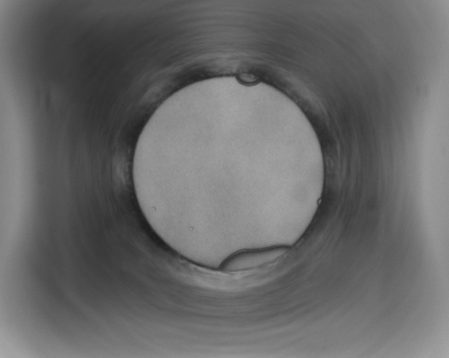 X0000115070035200911241131