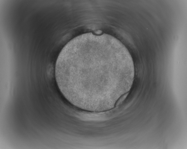 X0000115070036200911241131
