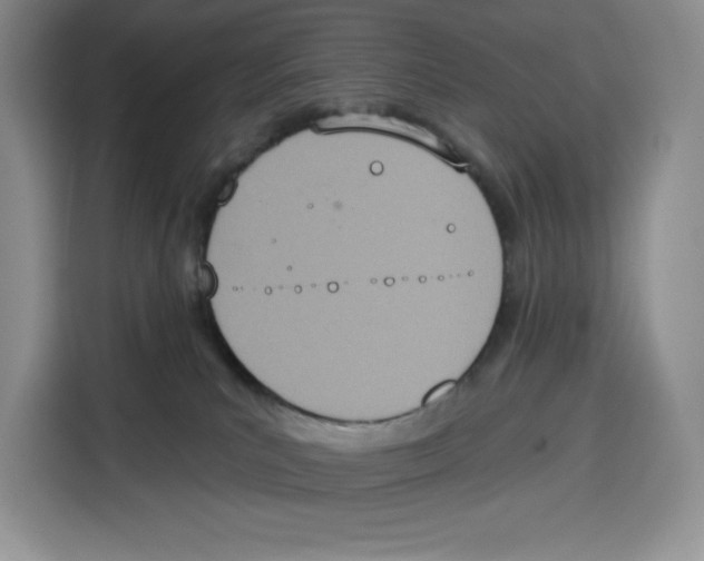 X0000115070039200911241131
