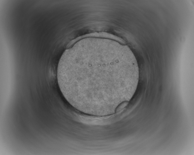 X0000115070040200911241131