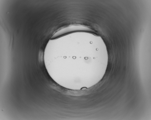 X0000115070041200911241131