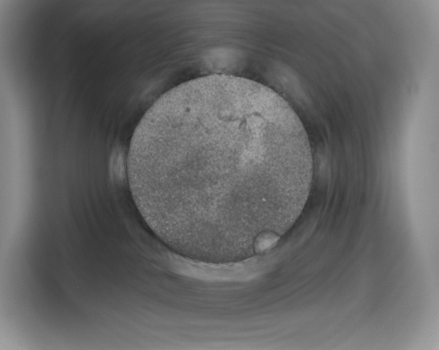 X0000115070042200911241131