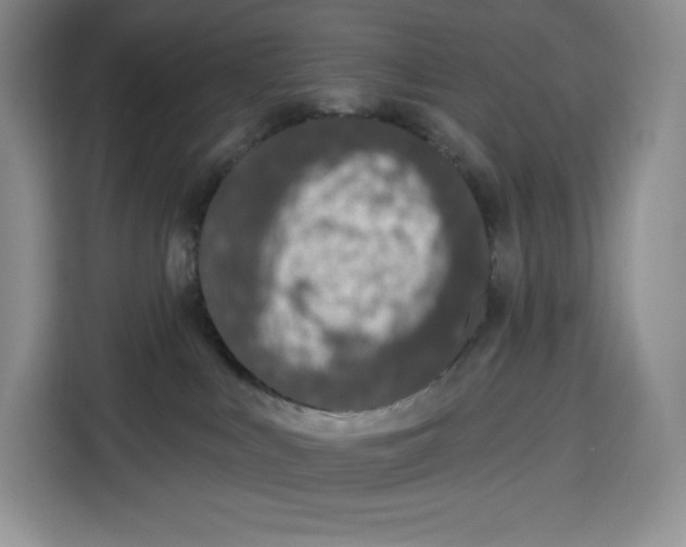 X0000115070043200911241131