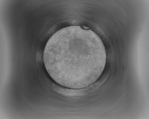 X0000115070044200911241131