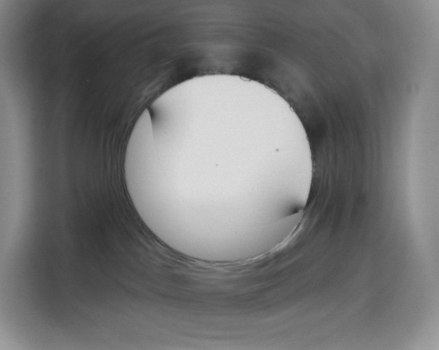 X0000115070045200911241131