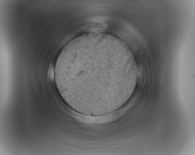 X0000115070046200911241131