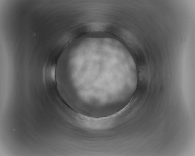X0000115070047200911241131