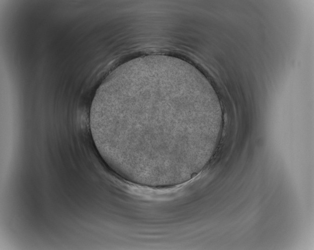 X0000115070048200911241131