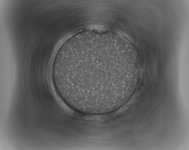 X0000115070049200911241130