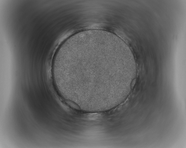 X0000115070050200911241130