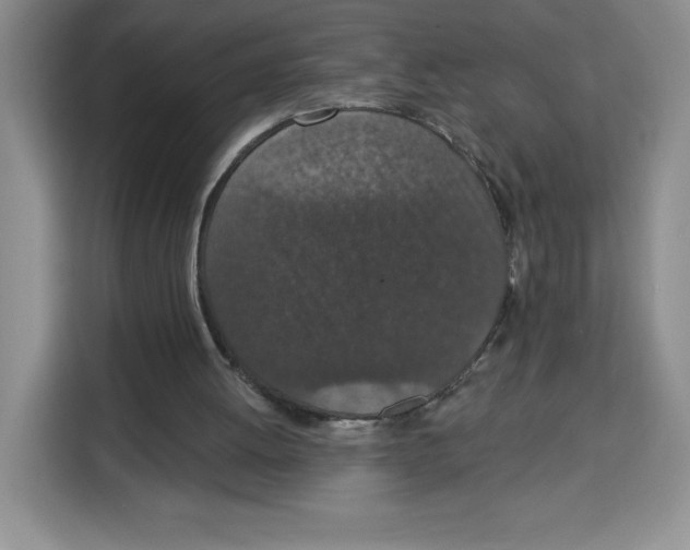 X0000115070052200911241130