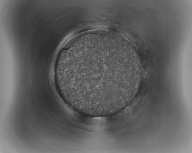 X0000115070053200911241130