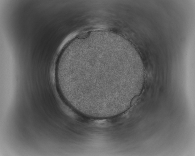 X0000115070054200911241130
