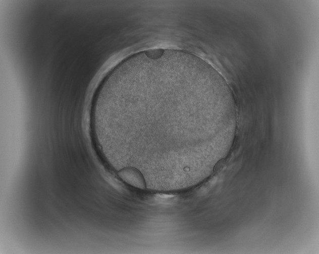 X0000115070055200911241130