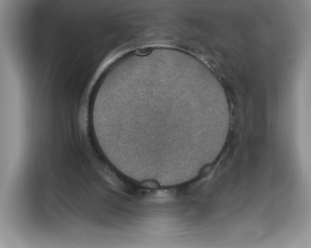 X0000115070056200911241130