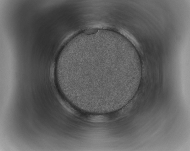 X0000115070058200911241130