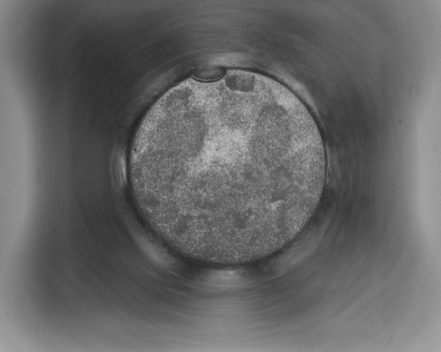 X0000115070061200911241130