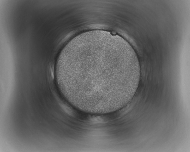X0000115070062200911241130