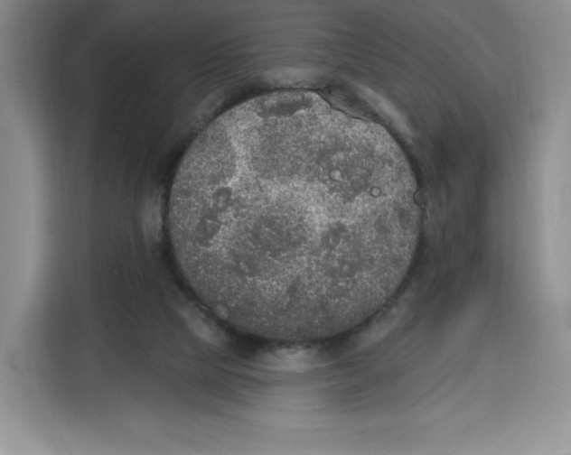 X0000115070065200911241130