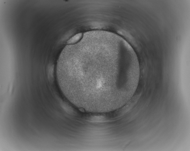 X0000115070066200911241130