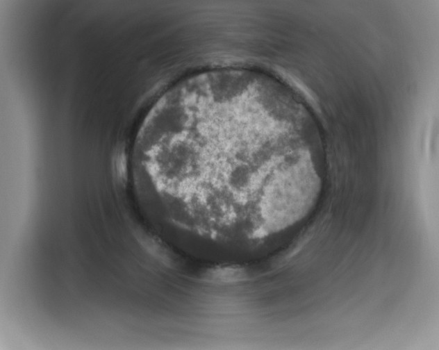 X0000115070067200911241130