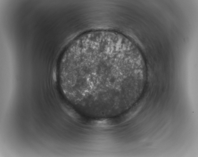 X0000115070068200911241130