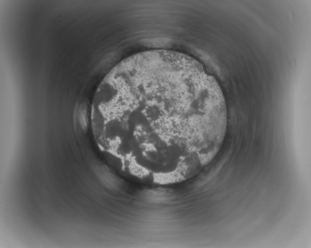 X0000115070069200911241130