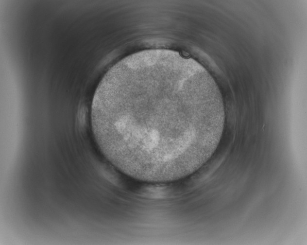 X0000115070071200911241130