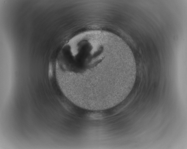 X0000115070075200911241130
