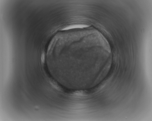 X0000115070076200911241130
