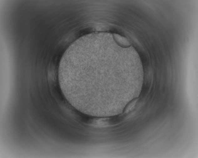 X0000115070078200911241130