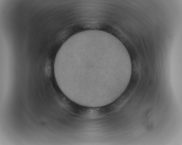 X0000115070080200911241130