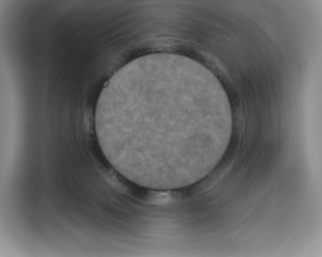 X0000115070083200911241130