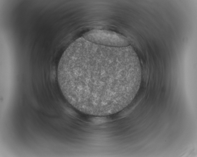 X0000115070085200911241131