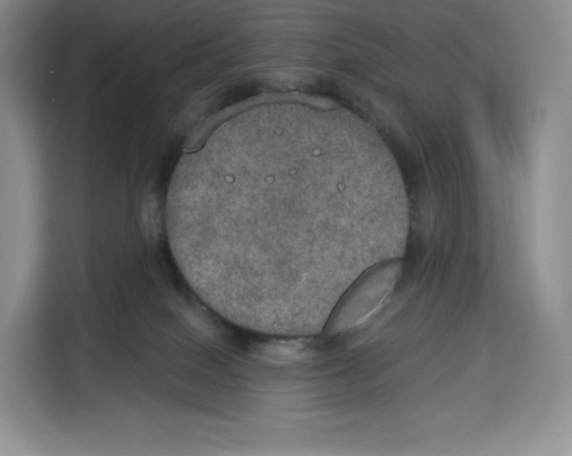 X0000115070086200911241131